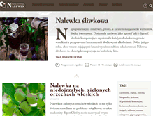 Tablet Screenshot of bibliotekanalewek.pl